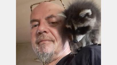 Bild: Andreas Brucker
Andreas Brucker versorgt bei Weitem nicht nur wildlebende Katzen im Bereich Kulmain, Immenreuth und Haidenaab. Schon unzählige Tiere wie dieser Waschbär haben bei ihm ein (vorübergehendes) Zuhause gefunden.