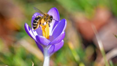 Bild: Malin Wunderlich/dpa
Die Temperaturen in Bayern steigen weiter.