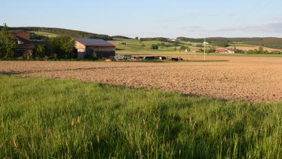 Bild: bnr
Südöstlich von Dietstätt (Gemarkung Weiding) soll eine "Agri-PV-Anlage" gebaut werden. Derzeit läuft das Genehmigungsverfahren.