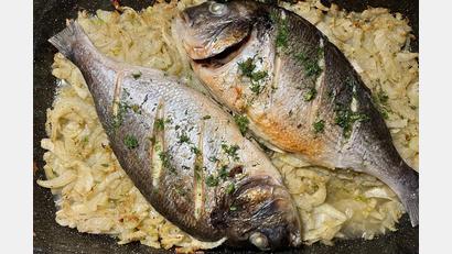 Bild: Michael Schiffer
Die Goldbrasse wird auf dem geschnittenen Fenchel im Backofen gegart.
