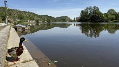 Symbolbild: Hohlheimer
Die Feuerwehr war gemeinsam mit Wasserrettern in Einsatz, um einen auf der Naab gekenterten Kajakfahrer aus dem Wasser zu retten.