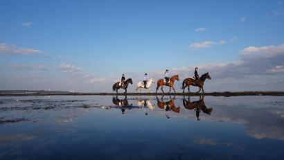 Bild: Marcus Brandt/dpa
Ostseereiter am Strand
