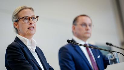 Bild: Kay Nietfeld/dpa
Alice Weidel und Tino Chrupalla stehen gemeinsam an der Spitze der AfD und sind auch Co-Vorsitzende der AfD-Bundestagsfraktion. (Archivfoto)
