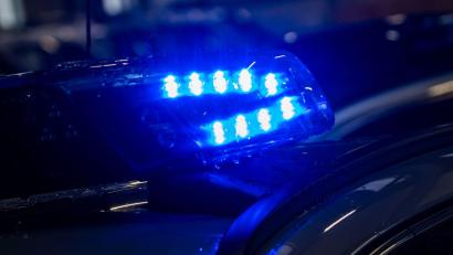 Symbolbild: Jens Büttner/dpa
In Bruck wurde eine Französische Bulldogge angefahren und schwer verletzt zurückgelassen. Die Polizei sucht Zeugen.