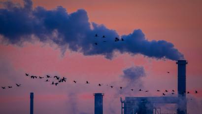 Symbolbild: Jens Büttner/dpa
Noch rauchen die Kamine in der Oberpfalz. Aber wie geht es weiter mit dem Verarbeitenden Gewerbe.