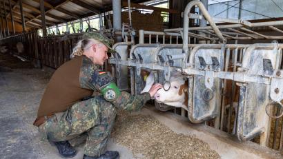 Bild: Hans Bernreuther
Ob die Kühe sich auch wundern, warum plötzlich Soldaten im Stall sind? In der schichtfreien Phase bleibt für diese Soldatin Zeit für Streicheleinheiten.
