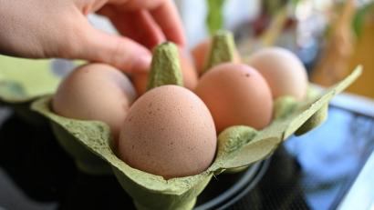 Bild: Elisa Schu/dpa
Einen Notstand bei der Eier-Versorgung gibt es nicht - aber Lücken in den Regalen der Händler. (Symbolbild)