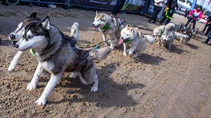 Bild: Jens Büttner/dpa
Bei dem Event wird alljährlich Geld für die Welthungerhilfe gesammelt.