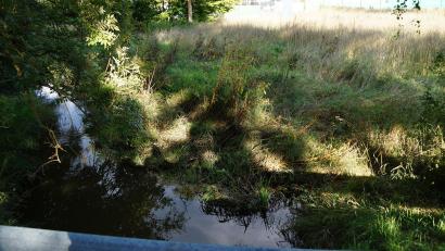 Archivbild: wel
Ein stark alkoholisierter Mann stürzte in Neunburg vorm Wald in den Rötzerbach.