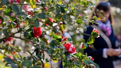 Bild: Rolf Vennenbernd/dpa
Am Dienstag sind vereinzelte Schauer und Gewitter „ganz zur Freude der langsam aufblühenden Natur“ möglich, so Meteorologe Bauer.
