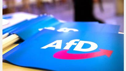 Bild: Daniel Karmann/dpa
Die AfD hat den Einzug in die Stichwahlen von Landkreisen, kreisfreien Städten und großen Kommunen nach den vorläufigen Ergebnissen verpasst. (Symbolfoto)