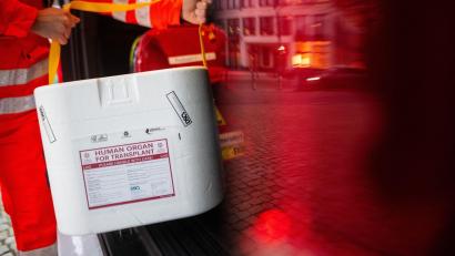 Bild: Sebastian Gollnow/dpa/dpa-tmn
Organspenden retten Leben - Im vergangenen Jahr haben in Deutschland 985 Menschen nach ihrem Tod ein Organ oder mehrere Organe gespendet. (Symbolbild).