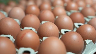 Bild: Marcus Brandt/dpa
Die Verbraucher essen mehr Eier als noch vor ein paar Jahren.