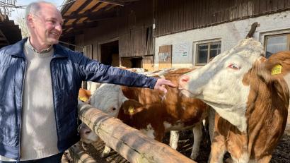 Bild: Gabi Schönberger
Georg Bocka mit den Kalbinnen, die er auf seinem Hof aufzieht. Die Tiere sind für den Landwirt nicht nur Arbeit, sondern auch Hobby.