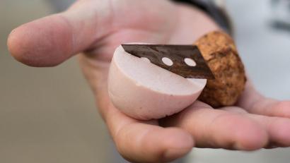 Symbolbild: Marcel Kusch/dpa
In Amberg sind präparierte Köder mit Rasierklingen gefunden worden.