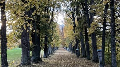 Archivbild: Susanne Forster
Bürgermeister Alfred Stier will gemeinsam mit Zweitem Bürgermeister Michael Schedl die Sanierung der Stelen in der Steinbergallee sponsern.