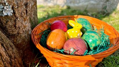 Bild: Gabi Schönberger
Auch im Bio-Bereich sind vor Ostern Eier-Engpässe zu erwarten.