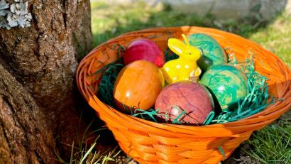 Bild: Gabi Schönberger
Auch im Bio-Bereich sind vor Ostern Eier-Engpässe zu erwarten.