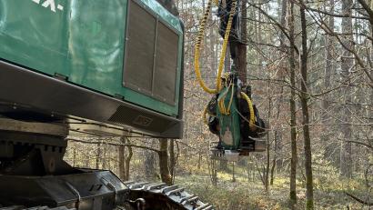 Bild: ge
Der Harvester packt den Baum unten, sägt ihn ab und hebt ihn senkrecht aus dem Bestand auf die Rückegasse.