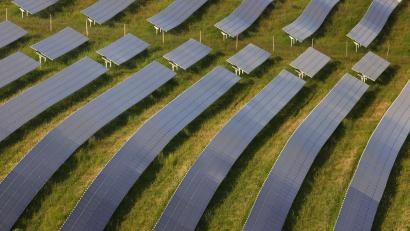 Symbolbild: Karl-Josef Hildenbrand/dpa/Archiv
Der Marktrat Falkenberg macht den Weg für den Solarpark "Bodenreuth" frei.