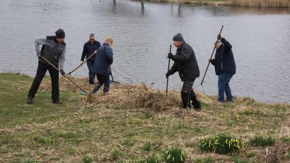 Bild: Konrad Rosner
Viele Freiwillige haben haben am Samstagnachmittag im Fischhofpark fleißig gearbeitet.