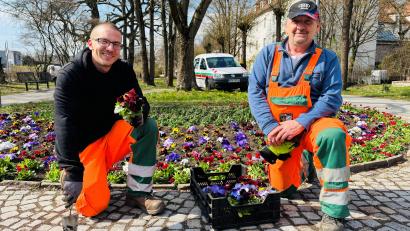 Bild: Stadt Weiden
Markus Braun (links), Gerhard Stade und weitere Mitarbeitende der Stadtgärtnerei lassen Weiden wieder erblühen.