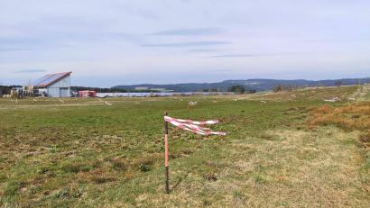 Bild: Portner
Der Stadtrat hat den Bebauungsplan für das "Gewerbegebiet am Biodiversitätspfad" zwischen der B22 und dem Ortsteil Hof gebilligt. Die Flatterbänder markieren nicht die Parzellen, sondern sollen die Feldlerchen vom Brüten auf dem Areal abhalten.