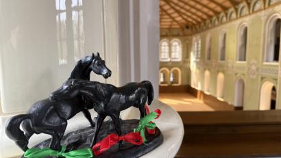 Bild: Gabi Schönberger
Pferde sind noch immer häufig anzutreffen in der Reitschule von Světce. Nur keine lebenden mehr.