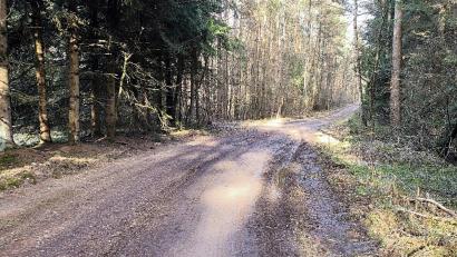 Bild: jma
Das Landratsamt bemängelte den Zustand des Radweges im Gemeindebericht Pressath – hier im Bereich "Rotes Kreuz".