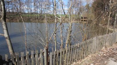 Bild: Konrad Rosner
Der Lodermühlweiher war erneut ein Gesprächsthema im Marktrat. Eine Machbarkeitsstudie wird erstellt, um die Gefahren dieses Teichs einzudämmen, die vom Damm und Entlastungskanal ausgehen.