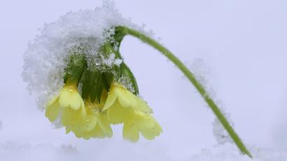 Bild: Karl-Josef Hildenbrand/dpa
Die Osterferien beginnen mit ungemütlichem Wetter. (Archivbild)