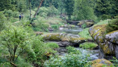 Bild: VGN / Gaspar-Klein 
Eine Wanderung durchs Waldnaabtal von Reuth bei Erbendorf bis Windischeschenbach lässt sich auch mit der Bahn, ohne Auto erreichen. Die Infos dazu hat der VGN in seinen Freizeittipps zusammengestellt.