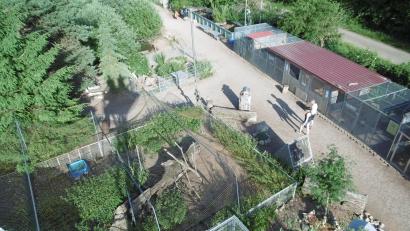 Bild: mma
Die Kümmersbucher Tierauffangstation, hier von oben gesehen, ist oft die letzte Rettung für so manche Tiere.
