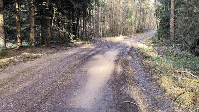 Bild: jma
Das Landratsamt bemängelte den Zustand des Radweges im Gemeindebericht Pressath – hier im Bereich "Rotes Kreuz".