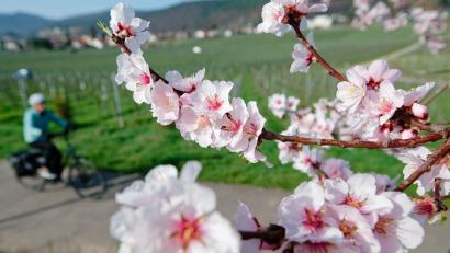 Bild: Uwe Anspach/dpa
Im März lockte das Wetter bereits zu vielen Aktivitäten ins Freie. (Archivbild)