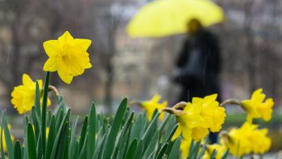 Symbolbild: Sebastian Gollnow/dpa
Wolken und Regenschauer prägen das unbeständige Osterwetter.