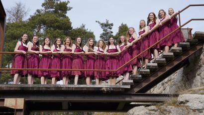 Bild: Renate Bauer-Zölch
Der Stolz der Liebensteiner Jubelwehr sind die 15 Festdamen.