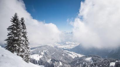 Archivbild: Lino Mirgeler/dpa
Ehrenamtliche Einsatzkräfte der Bergwacht Marktschellenberg retteten einen am Roßfeld-Skigebiet abgestürzten Hund - sie fanden ihn im Steilgelände.