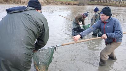Bild: szl
Der Fischotter bedroht das Kemnather Fischerfest. Schon seit Jahren "erntet" der Verein nicht mehr genügend Karpfen aus seinen Weihern für seine Spezialitäten beim Fest. Der Otter ist schneller und frisst alles weg.