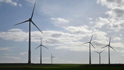 Bild: Michael Brandt/dpa
In Windturbinen spielen Neodym-Magnete eine zentrale Rolle. (Symbolbild)