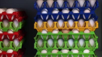 Bild: Karl-Josef Hildenbrand/dpa
In Bayern gibt es eine große Nachfrage nach Bio-Eiern. (Symbolbild)