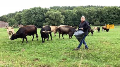 Bild: mzi
Die Tiere kennen Wolfgang Wiesent schon an der Stimme und kommen gerne angelaufen. Jedoch beschleunigt ein Leckerchen in Form von trockenen Semmeln oder Brezen das Ganze noch.