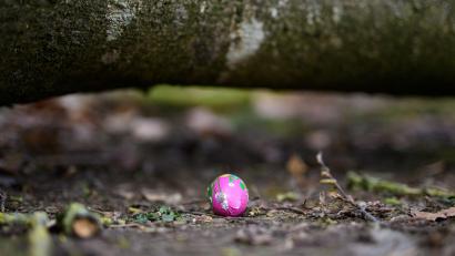 Bild: Daniel Reinhardt/dpa
In einem Waldstück im Norden Schleswig-Holsteins ist ein Baum auf eine Gruppe gestürzt.