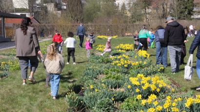 Bild: Konrad Rosner
Mächtig was los ist am Nachmittag des Ostermontags bei der Ostereiersuche im Fischhofpark.