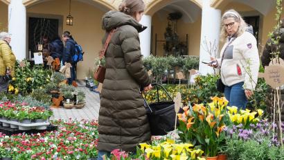 Bild: Hirsch
Die Farbenpracht auf dem österlich geschmückten Schlossgelände in Guteneck weckt bei den Besuchern die Vorfreude auf das anstehende Gartenjahr.