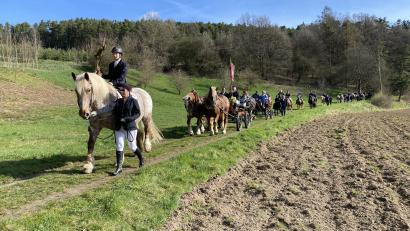 Bild: aub
Quer durch die Stadt und mitten durch den Wald führt die Pferdeprozession Richtung Brünnlkirchlein oberhalb der Naabauen.