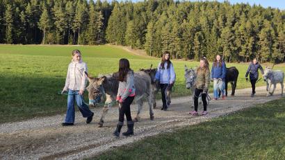 Bild: Elisabeth Pirner
Entschleunigung und die freundliche Art der Esel würden die Esel-Touren besonders machen, sagt Eselhof-Chefin Elisabeth Pirner. Die Tiere sind für den Umgang mit Kindern ausgebildet – passieren könne da nichts.