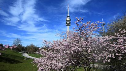 Bild: Felix Hörhager/dpa
Am Mittwoch bleibt es sonnig. (Archivbild)