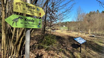 Bild: ck
Im Geologischen Lehrpfad in Tännesberg findet am 27. Mai eine Geotour „In einem Land lang vor unserer Zeit“ statt.