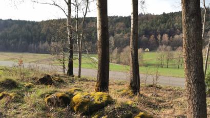 Bild: Portner
Wird es einen Naturfriedhof an der Straße zwischen Dautersdorf und Jedesbach mit Blick zur Wallfahrtskapelle Schönbuchen (im Hintergrund) geben? Die Antwort gibt es nach den Bürgerentscheid am 26. April.